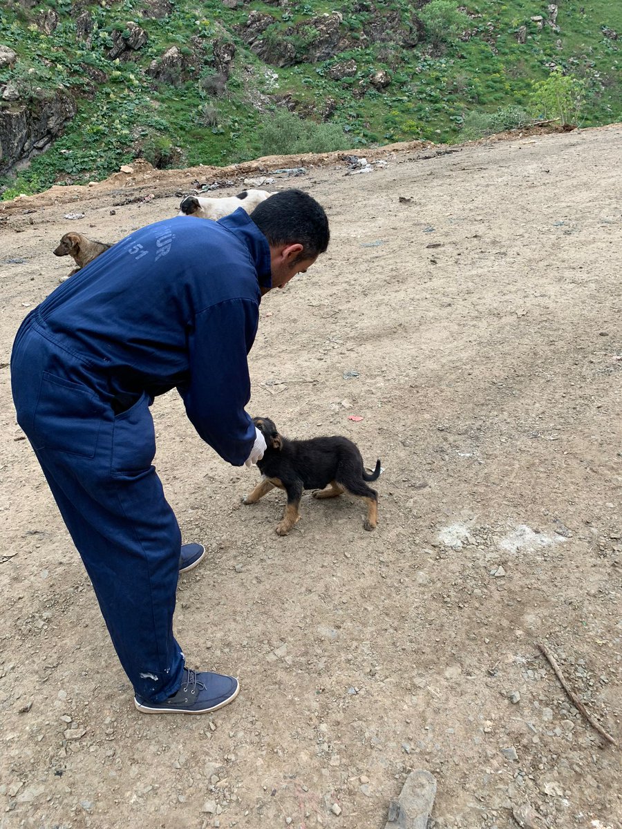 SemHayDer's tweet photo. Biraz güneş, biraz da ilaç takviyesi. #candostlarımız destekleriniz ve bizlerin çabalarıyla her geçen gün biraz daha iyi olacaklar. 
#CanDostlarımız
@HakkariValiligi
@idrisakbiyik
@GSemdinli
@SemdinliBldyesi
@HaytapOfficial https://t.co/coSkh3bais