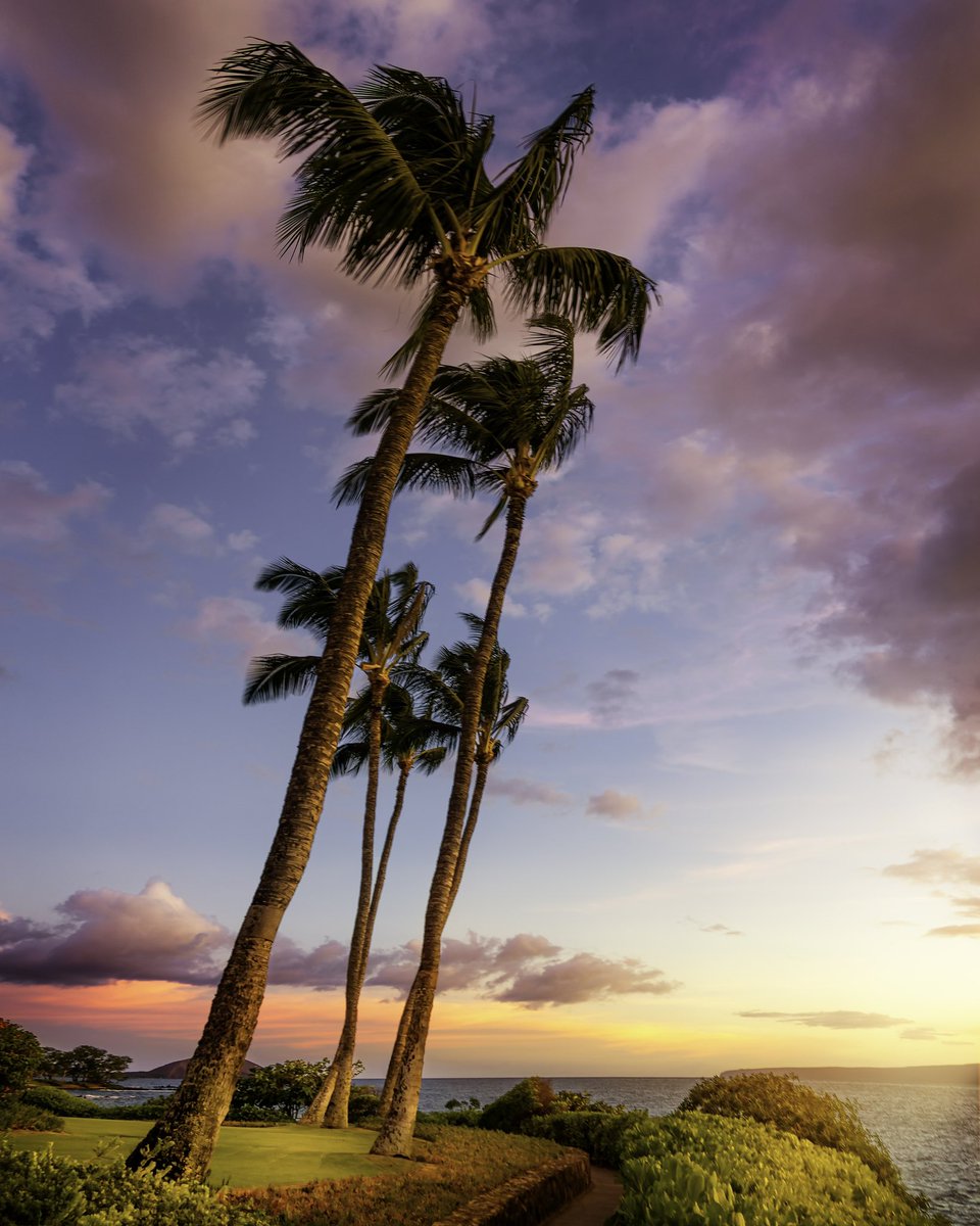 dsxdavid's tweet photo. @BraydenCreation Gm gm!! ✨🌤 Hawaii 🌴
#photography #sunset #Hawaii https://t.co/4fHumqQAza