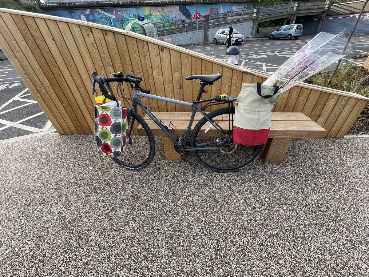 ZoeBanksGross's tweet photo. I always end up with more than I planned for when I go to @IKEAUK , thank goodness I had my #bicycle. All the benches and native wildflowers along the entrance make it #walking friendly too. #utilitycycling #activetravel #getoutside https://t.co/8H71ua63Ch