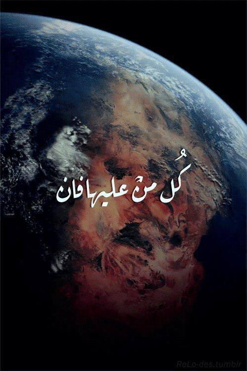 EphemeralNow's tweet image. Never forget