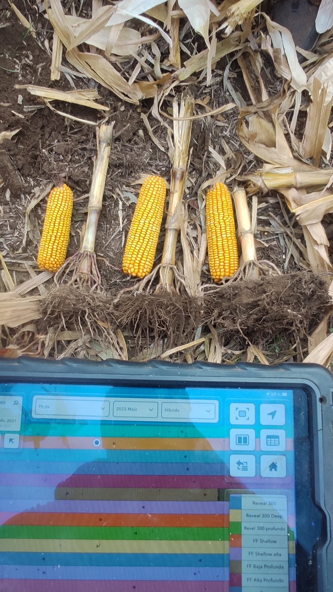 A que profundidad sembras? Recorriendo ensayos de tecnología