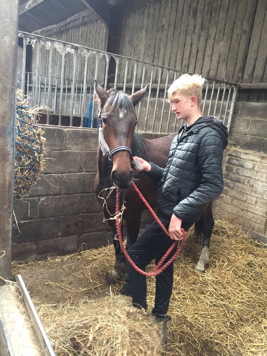 Livvi_Fay's tweet photo. Great to see Jensen doing what he loves. #schoolfarm #LPTF @LeverParkSchool @bolton_pru https://t.co/iuiUQpVbVL