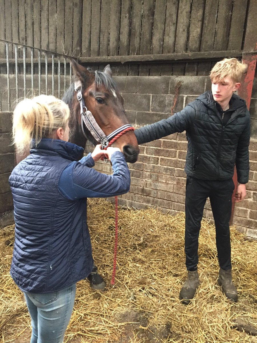 Livvi_Fay's tweet photo. Great to see Jensen doing what he loves. #schoolfarm #LPTF @LeverParkSchool @bolton_pru https://t.co/iuiUQpVbVL