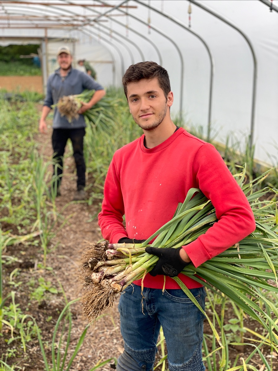 tenmilemenu's tweet photo. Time to order your veg box this week 🐝 - https://t.co/xQ1rgQAYRW

#organicfood #organicfarm #organicvegbox https://t.co/Tmuz1ruUoY