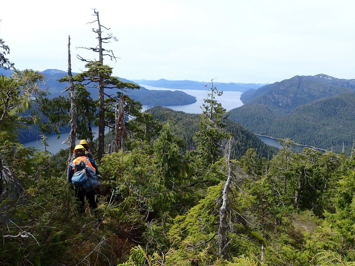 #DidYouKnow that the Forest Service can tell you how much carbon is stored in the trees in your county? Scientists quantify forest landscapes using field crews &amp; the latest technology. fs.usda.gov/features/fores…