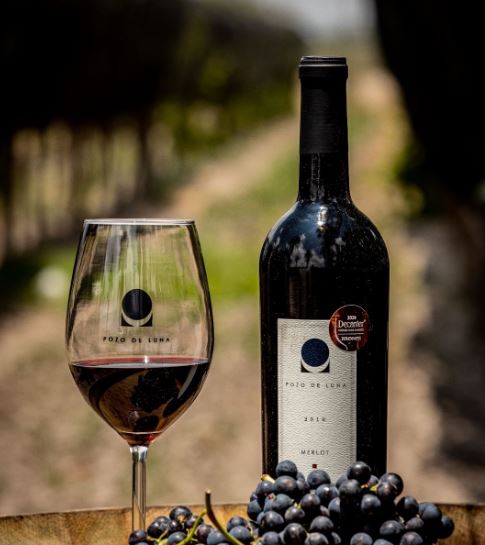 Prueba nuestro extraordinario Merlot; tiene una crianza de 14 meses en barricas de roble francés y americano.