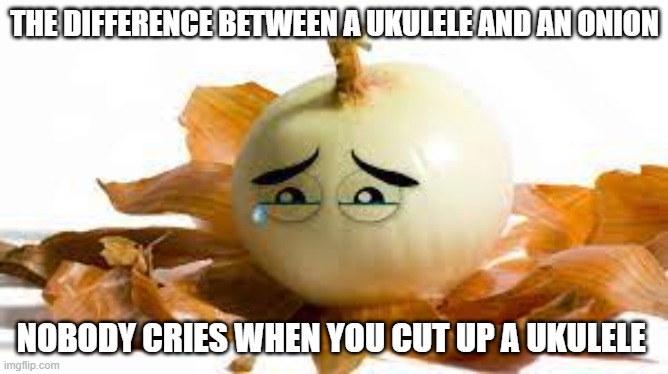 Section 8 Guitars tweet media