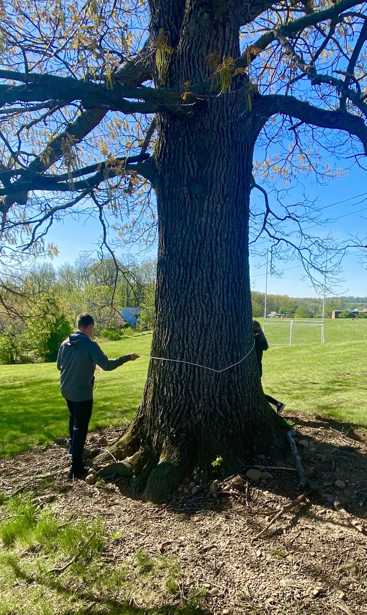 PepScienceSpot's tweet photo. Students estimating tree age - circumference/3.14 x species growth rate factor. Conservative estimate - this oak is at least 120 years old! #dendrology #ecology #EnvironmentalScience #trees #Nature #History https://t.co/2ToR3nNGfy