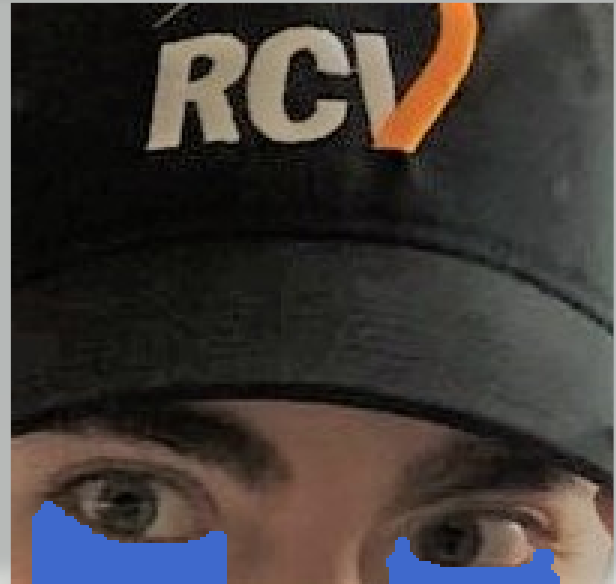 lettucecatsmeow tweet media