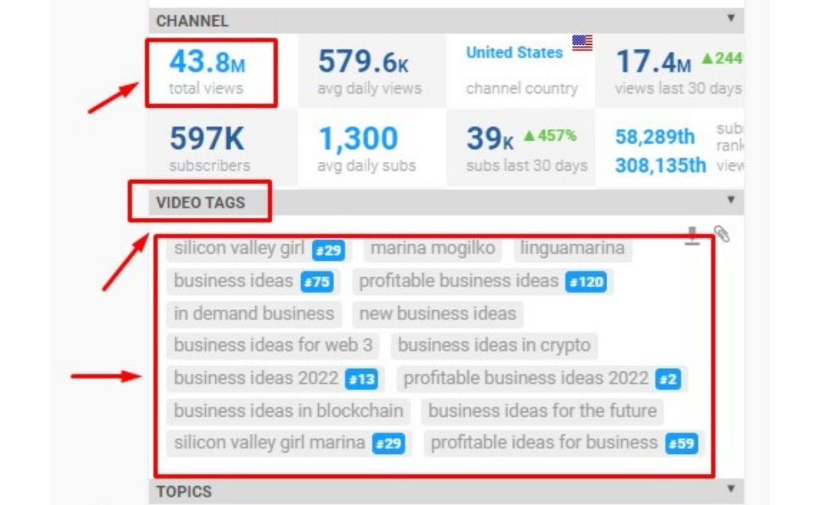 I will organic professional top youtube marketing and video promotion dailygram.com/index.php/blog…