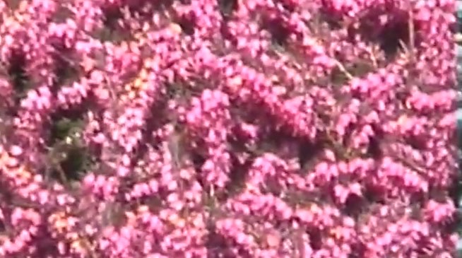 Oisin Mod tweet media