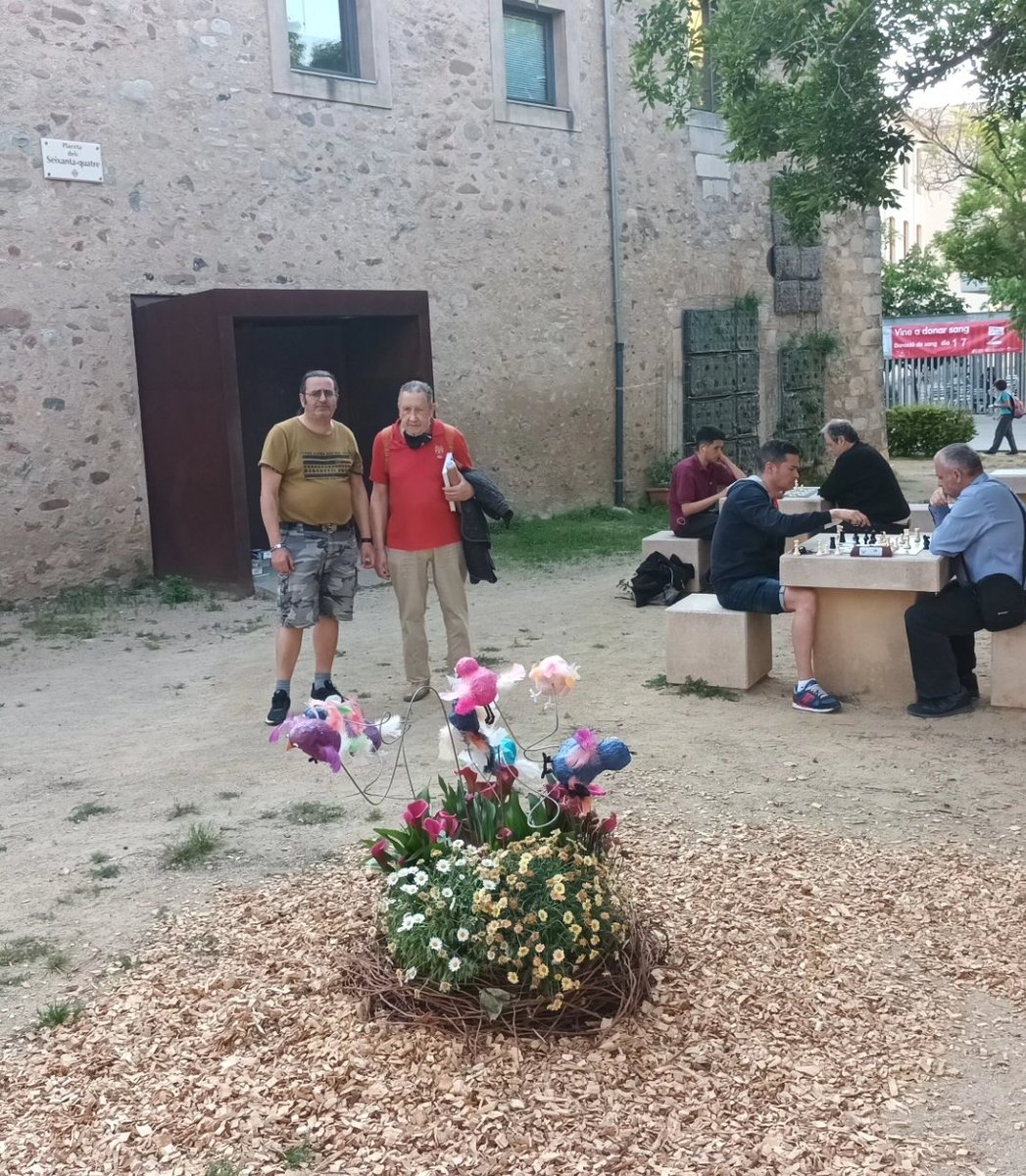 Escacs Santa Eugènia tweet media