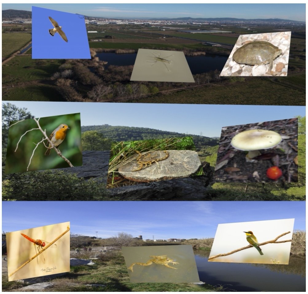 Projecció de l'audiovisual Els santboians no empadronats.
El 25 de maig de 2022, a les 19 hores, al teatre Cal Ninyo. 
Més informació i inscripcions a:
eventbrite.es/e/entradas-pro…