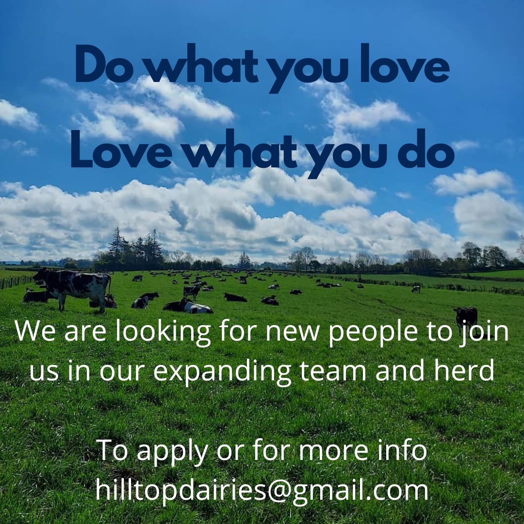 grazyfarmer's tweet image. We are looking for great people who love cows, grass, good fun and a challenge. We are expanding our team and will have positions available at all levels of management! Herd, farm and operations. Get in touch!!  #expansionmode