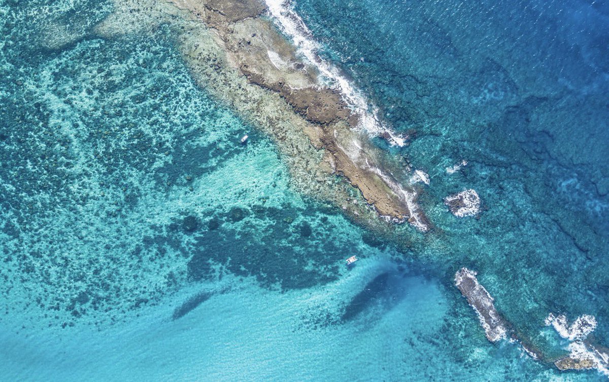 Is there anywhere else you'd rather be? ☀️ #twomilereef 
#azuraretreats #azurabenguerra #azuramarlinbeach #mozambique #africa #wheretonext #virtuosotravel #travelafrica #luxurytravel #island #beachresort #dreamholiday  #dreamdestination #luxuryworldtraveler #thebestofmozambique