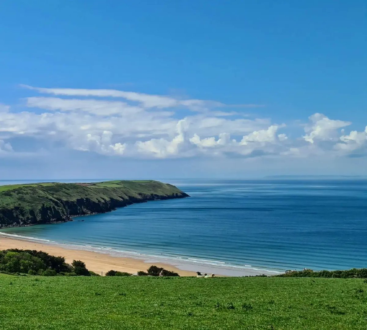WildseaFruit's tweet photo. Big views and blue skies! 🌊🐑☀️🏖 https://t.co/UXOHchv6bg