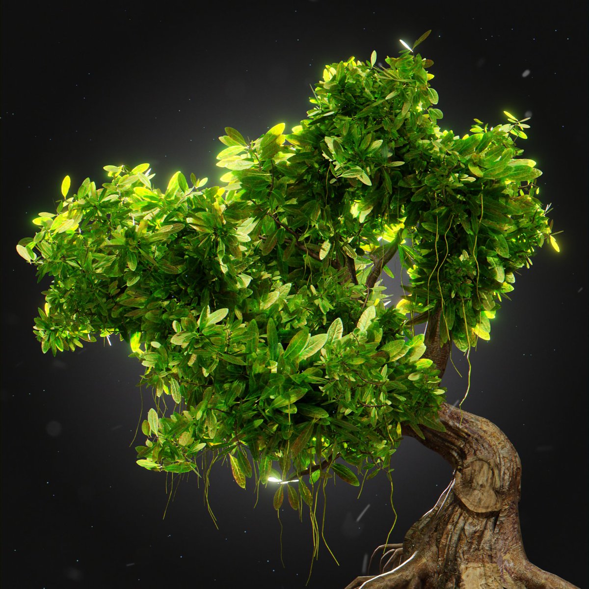 Mongomonsol's tweet photo. another cool tree snek peks🌳 https://t.co/o2lrzqy03p