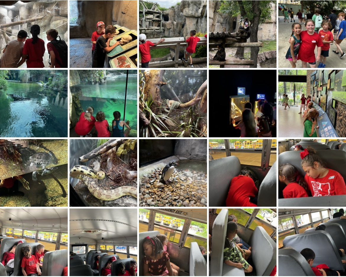 Second Grade Field Trip to the zoo was a big success!  Thank you chaperones for all of your help!!!