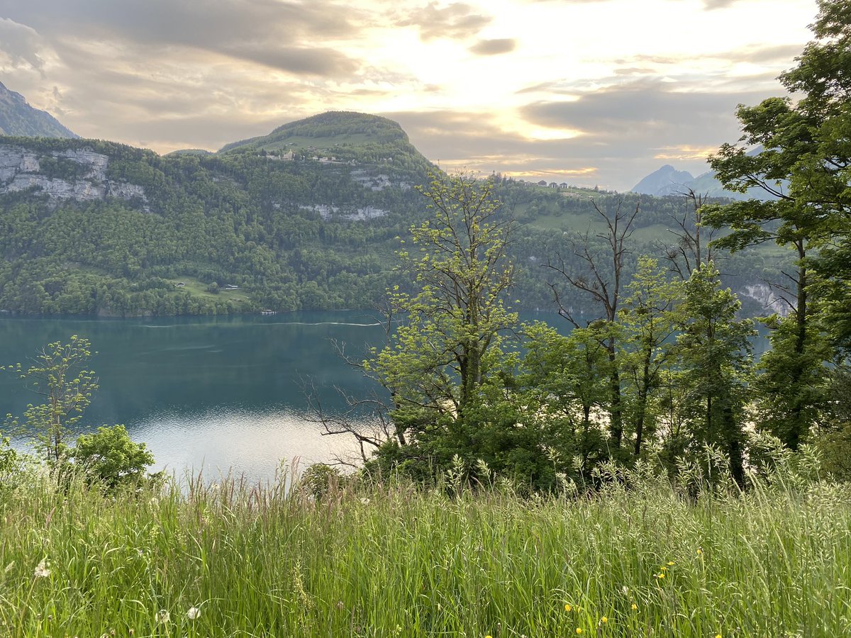 Was für ein Privileg an einem solchen Ort zu leben und zu unterrichten. Ich habe mich schlicht und einfach in die Landschaft verliebt 😍🤩 #schweiz #morschach #erwachsenenbildung #relichat #jugendarbeit #relilab