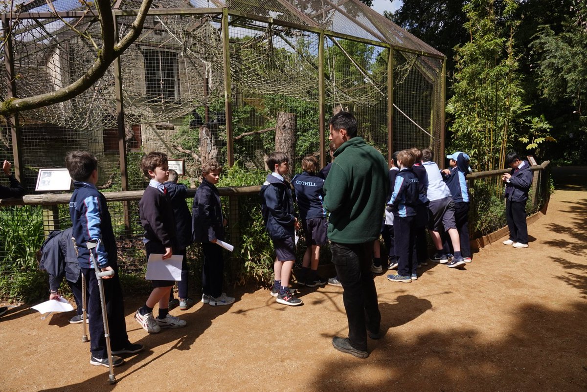 CothillScience's tweet photo. Year 6 visited the Cotswold Wildlife Park today to learn all about adaptation and evolution. A great day out in the sunshine. Thank you for some great talks @CotsWildTweets https://t.co/KD4CR0fDqY