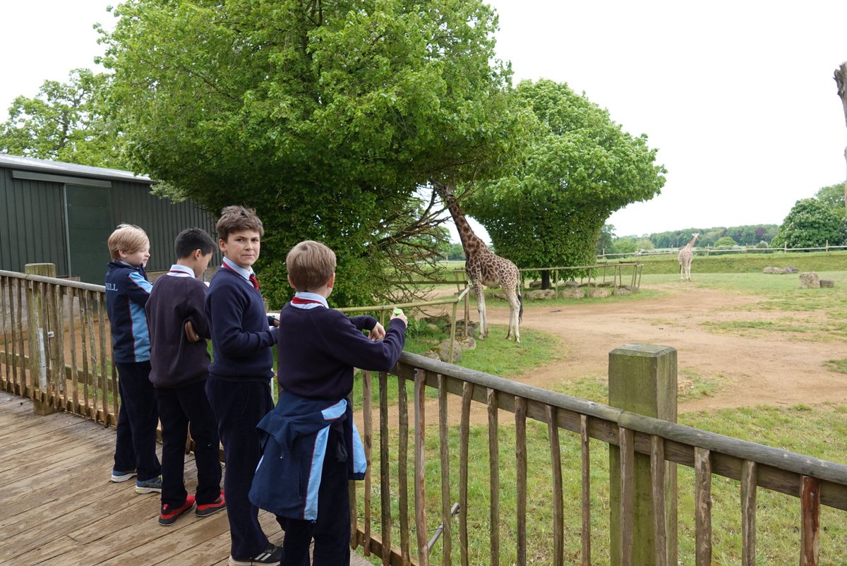 CothillScience's tweet photo. Year 6 visited the Cotswold Wildlife Park today to learn all about adaptation and evolution. A great day out in the sunshine. Thank you for some great talks @CotsWildTweets https://t.co/KD4CR0fDqY