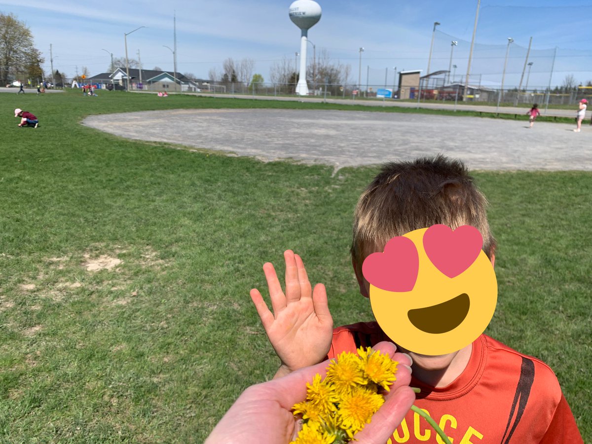 A sure sign of spring <a href="/AVPS_LDSB/">Amherstview PS</a> - the first dandelion bouquet of the season &amp; a happy and proud gifter/collector! Supervision = connection time.💖🌼 #JoyfulLeaders