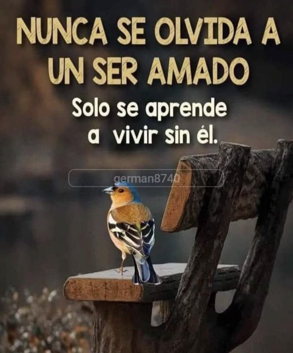 Sololuz5's tweet photo. NUNCA … https://t.co/Omrgt4FLWz