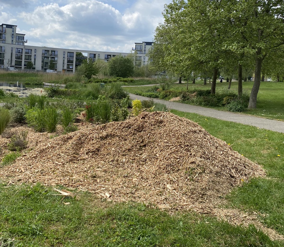 Heybournepark's tweet photo. #GrahamePark πͺ΄ππ³#Communitygardening We got a truckload of wood chips for our #communityplot(s) last Thursday! Thank you @glendaleuk! #HeybournePark #NW9 #Colindale #Barnet https://t.co/ZQ6w0Nrc5k