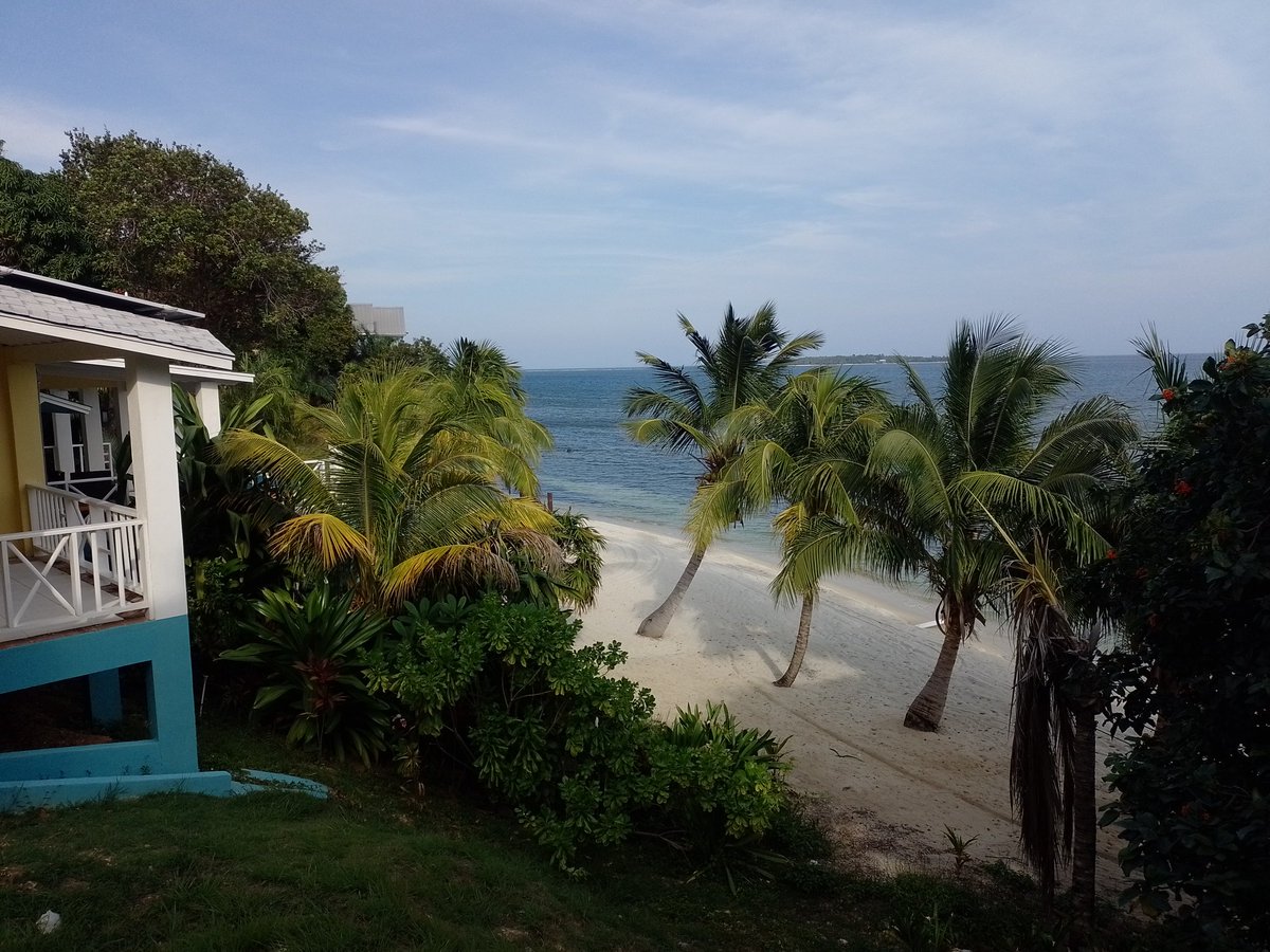 RoatanFerry's tweet photo. ¿Cuando te vienes con nosotros a explorar Guanaja?
When are you coming with us to explore Guanaja?
#visitguanaja #bonacca #galaxywave #roatanferry https://t.co/GEz6Ix6Jrl