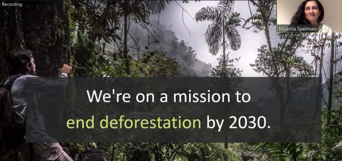 NiyantaSpelman's tweet photo. I recently spoke w/ @DellTech employees from around the world about the importance of protecting rainforests as part of an Earth Day webinar. Thank you to the Dell Planet Employee Resource Group in EMEA for the invitation &amp; their commitment to our planet!
https://t.co/KsX2nVkeFi https://t.co/s6gPAtJ3OK