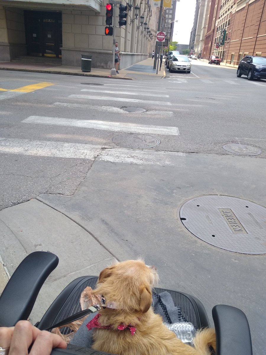 Teddy got to meet our <a href="/DowntownTREX/">T-REX 🦖</a> friends and then ride back to @itenstl <a href="/LindenwoodU/">LindenwoodUniversity</a> #OldPostOffice in a mobile office throne! Such an adventure!