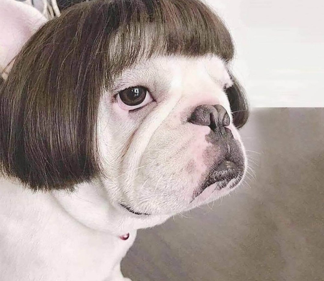 ya begitulah kurang lebih ceritanya. semoga diberikan hidayahnya aja, ya minimal bisa jaga ucapan lah, jgn kasar2 amat😆