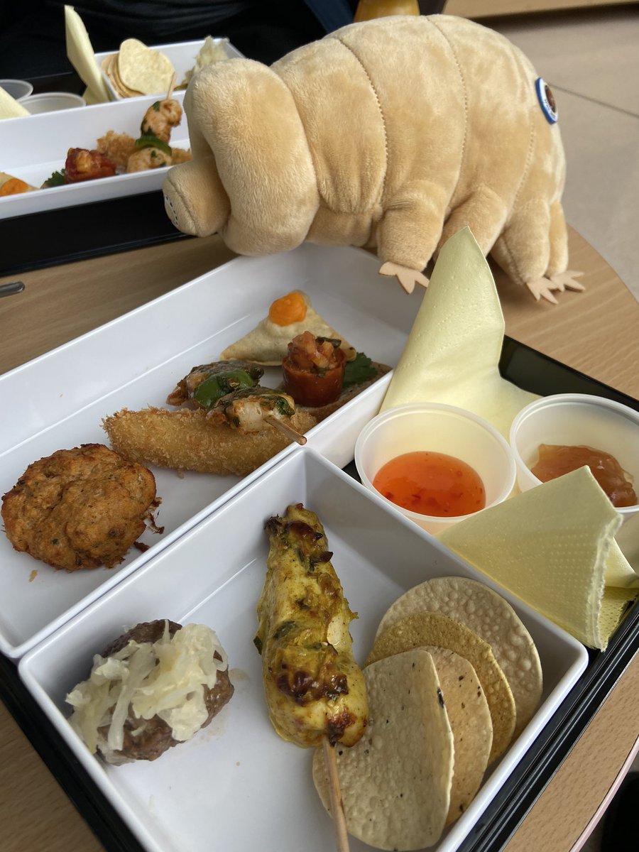 TAThompson16's tweet image. Snack time. @OpenUniversity #OUTalks food rocks! 
#CaptainOnCampus @space_ou