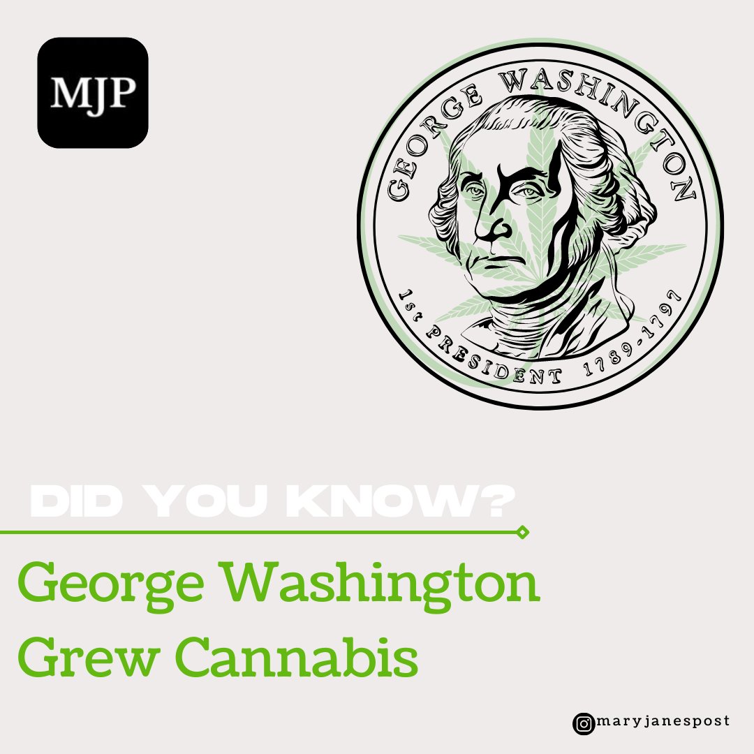 MaryJanesPosts's tweet photo. π Yes, that's right! The first President of the United States of America, George Washington, grew hemp on his Mount Vernon fields to produce paper, rope, sail canvas, clothes, and fishing nets.
#CBD #news #cannabiscommunity #MJPost https://t.co/fjDMmDikp1