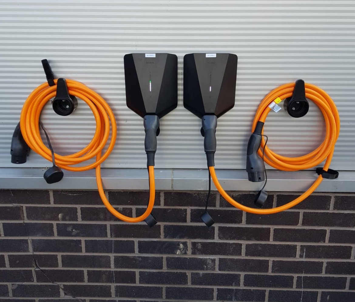 Oh what a lovely pair.....
easee Tiger !!!!!