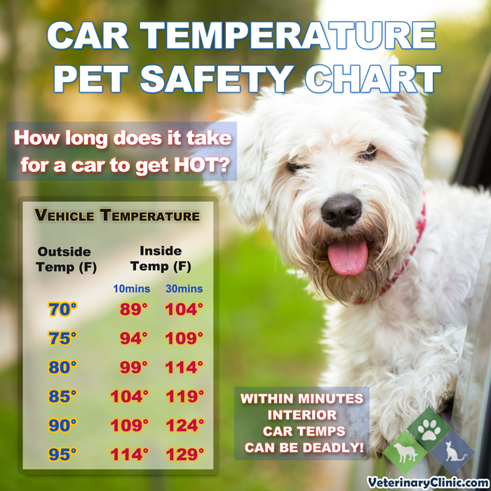 SoDakFACT's tweet photo. It only takes minutes for a vehicle interior to become dangerously hot, even with the windows cracked. As you can see in this chart, the inside of a car can become 104 degrees after just 10 min on an 85 degree day!

#HotCarsKill #ReportAnimalNeglect #SoDakFACT  

@4veterinary pic https://t.co/gQiwTX4tTI