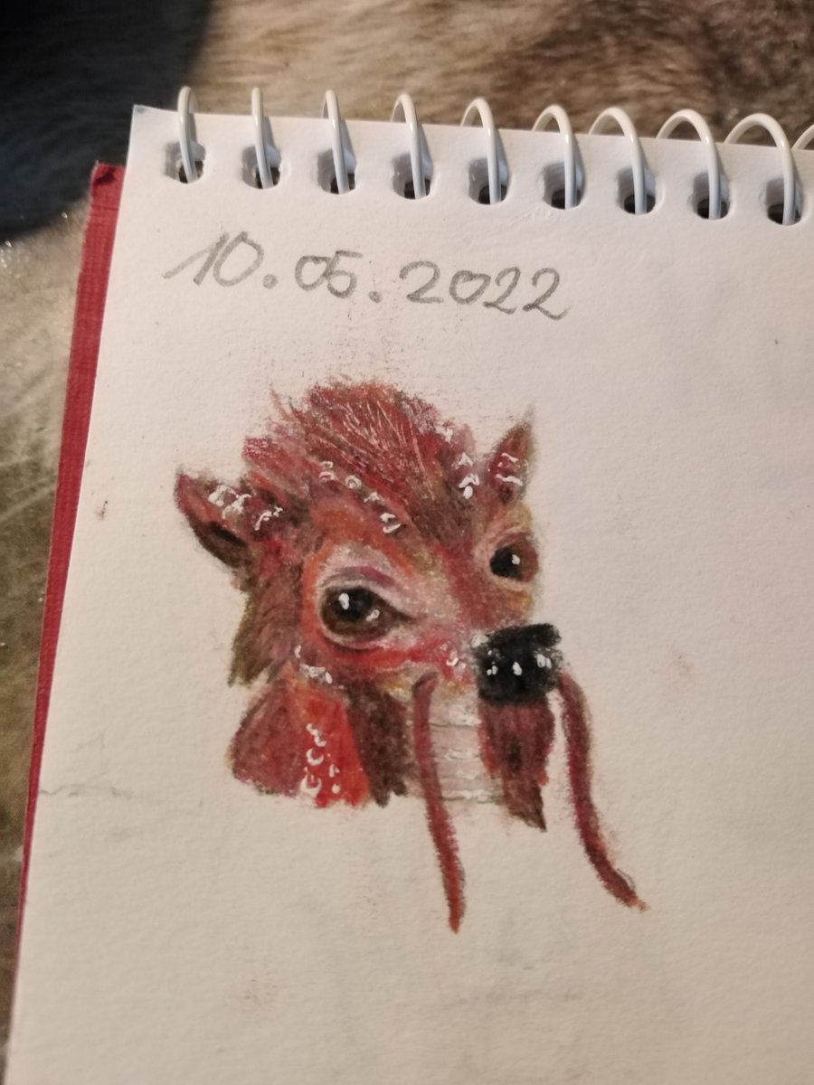 SardineKane's tweet photo. Ach jetzt wird #dagrid doch verwenden ist ja nur fast 5 Monate später 🤣😂
Und schaut mal heute hab ich ein qilen gemalt, Hab leider vergessen wer des Motiv vorgeschlagen hat 🙈 https://t.co/tDBTGJnMhm