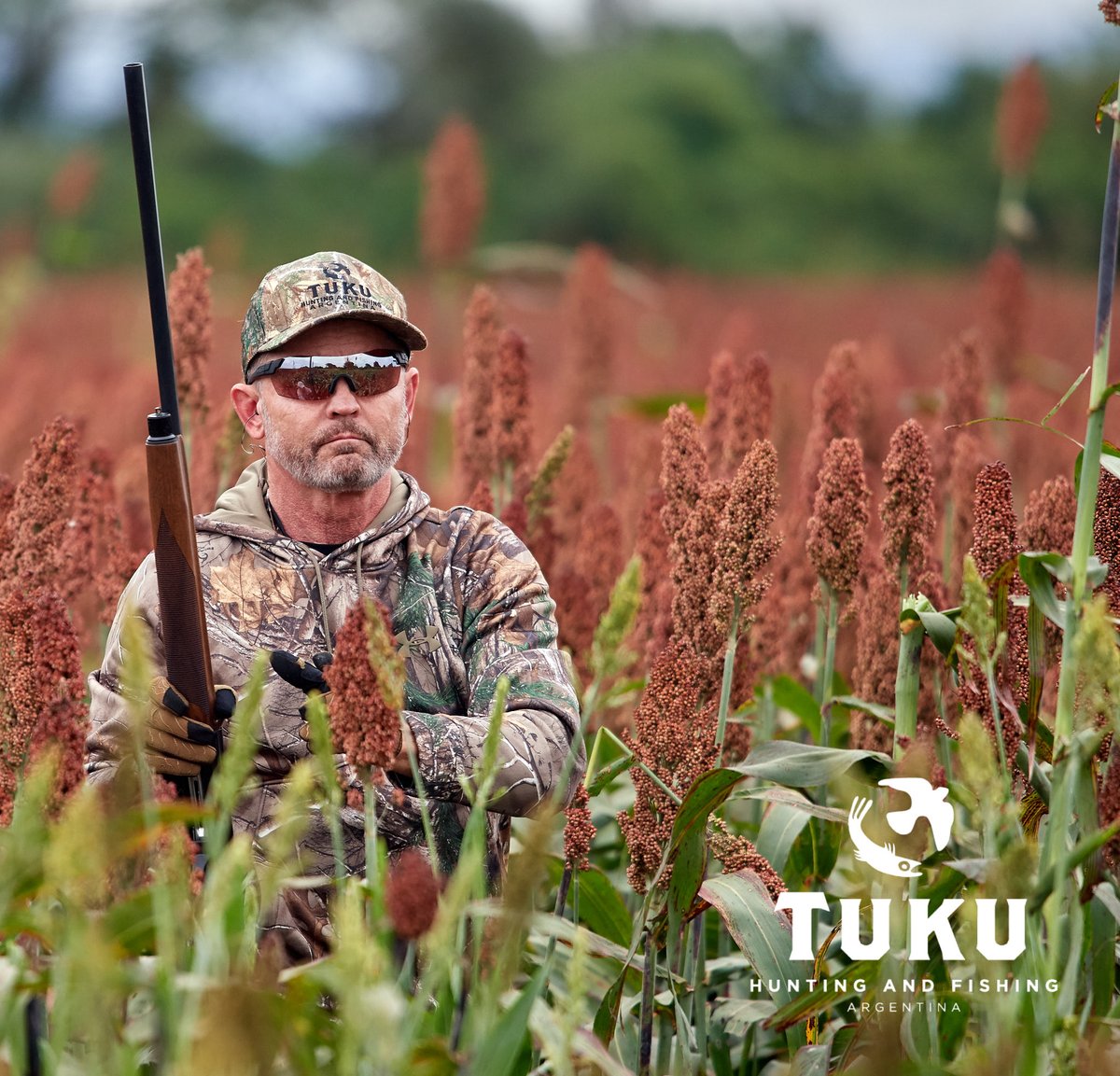 tukulodge's tweet photo. Hello folks! A sorguhm feild in badass mode 🔛

Argentina's best-kept wingshooting secret: @tukulodge

#premiumdovehunting #premiumdoveshooting
#premiumpigeonhunting #premiumpigeonshooting

@DetailCompany 
@DSCNEWSCENTER 

@tukulodge 
Salta, ARG🇦🇷 https://t.co/uWydaO5rAc