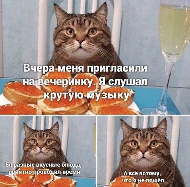 RussianMemesLtd's tweet photo. I was invited to a party yesterday.

I listened to cool music. I ate various delicious dishes. And I had a good time.

And all because I did not come. https://t.co/NOWaQhnMIg