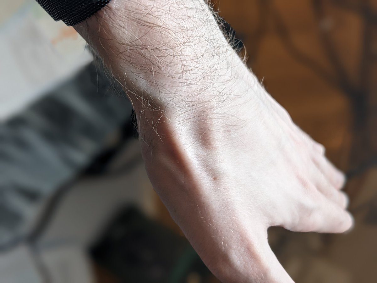 Ollie Burton tweet media