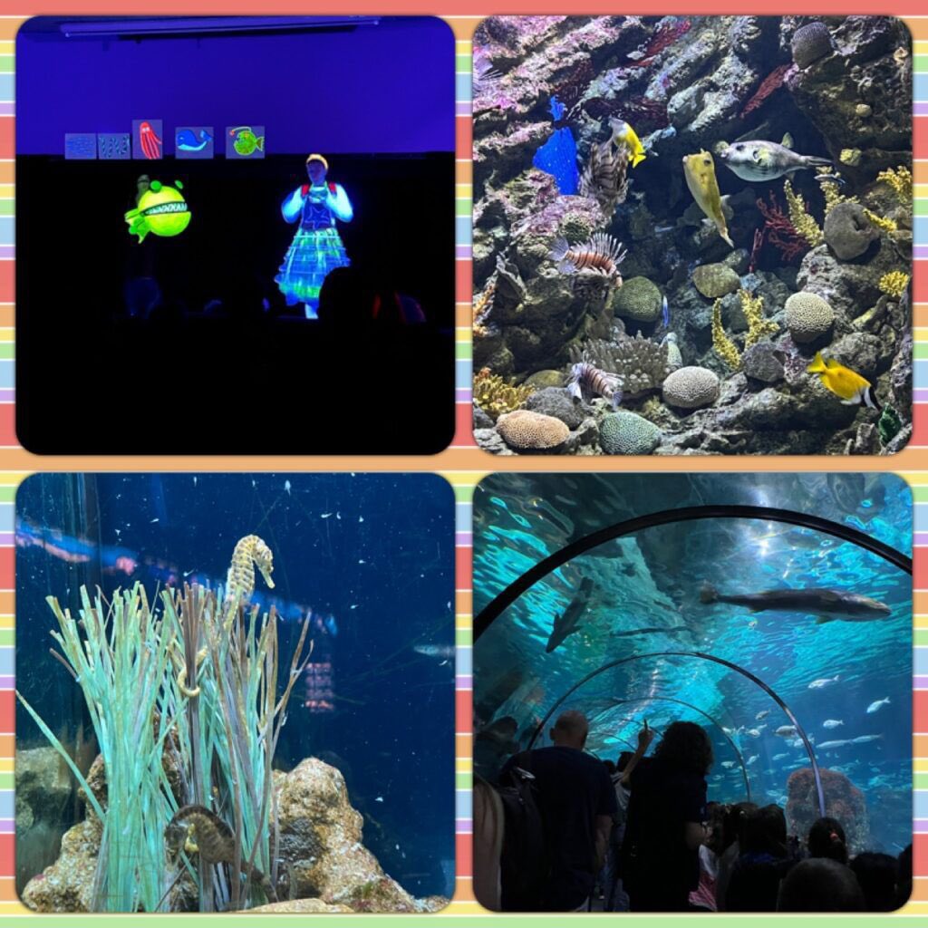 EscAbatMarcet's tweet photo. Com han gaudit de la sortida a l'Aquari de BCN. I és que s'ho han passat molt bé al teatre del MAR MARÀ, fent la visita guiada dins l'aquari i després dinant a un parc de Sant Quirze!
Un dia per recordar!
#escolaabatmarcet #escola #escolapublica #escoladeterrassa #terrassa https://t.co/xnn21IZwYH