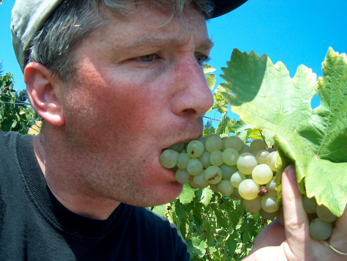 Corvallis Brewing Supply Update and Tasting Schedule - mailchi.mp/6fed2868177d/c… We are starting the winding-down process of closing.  Check out the aggressive tasting schedule we have set up, including this week's Brunello di Montalcino &amp; Rosso and barley wine tastings!