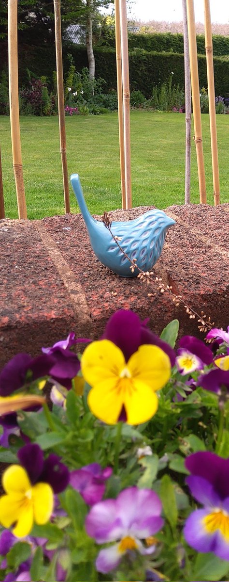 kathhalcrow's tweet photo. @chezzi64 Thank you for my beautiful new bird - amazing work! 🐦 https://t.co/GLALOG2KbQ