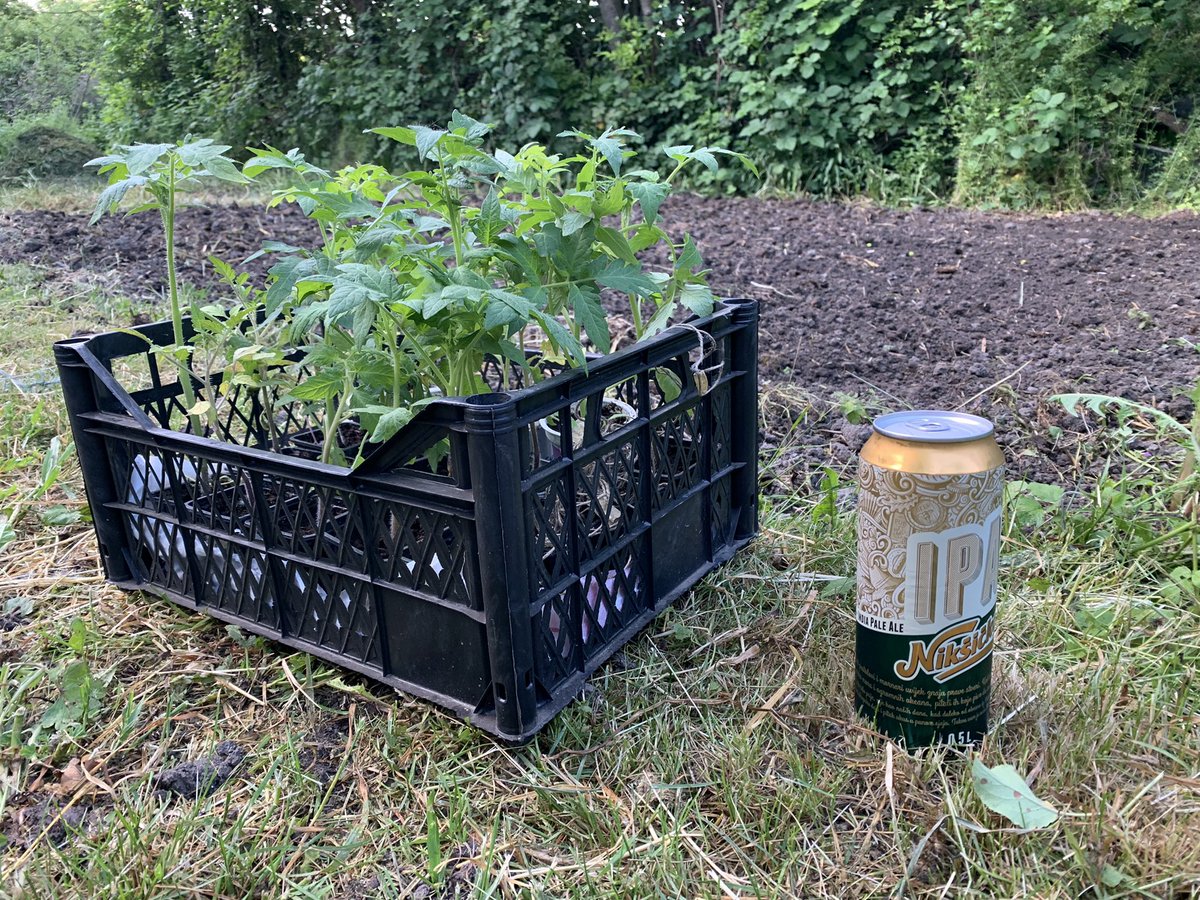 easyrider7od7's tweet photo. Spremljena zemlja i posadjen paradjz od @svetionicar
Samo #organski samo #staresorte
#easygarden 🍅 https://t.co/oZarWCYM4G