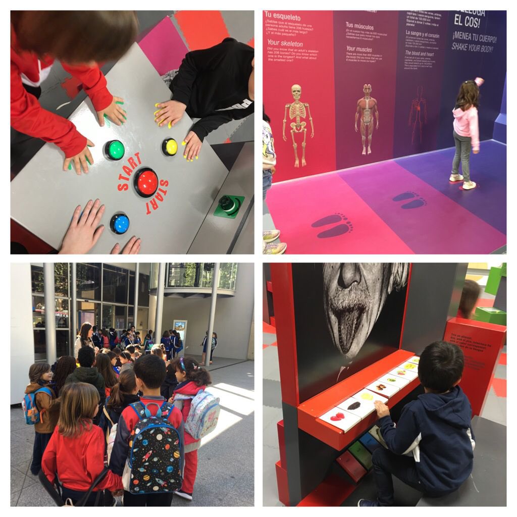 EscAbatMarcet's tweet photo. L’alumnat del Cicle Inicial durant aquest mes anem a visitar l’exposició permanent que hi ha sobre el cos al MNATEC.

Primer fem un taller introductori i després experimentem amb les activitats de la sala.

Estem aprenent molt!

#escolaabatmarcet #escola #escolapublica https://t.co/iBL1D8nbbu