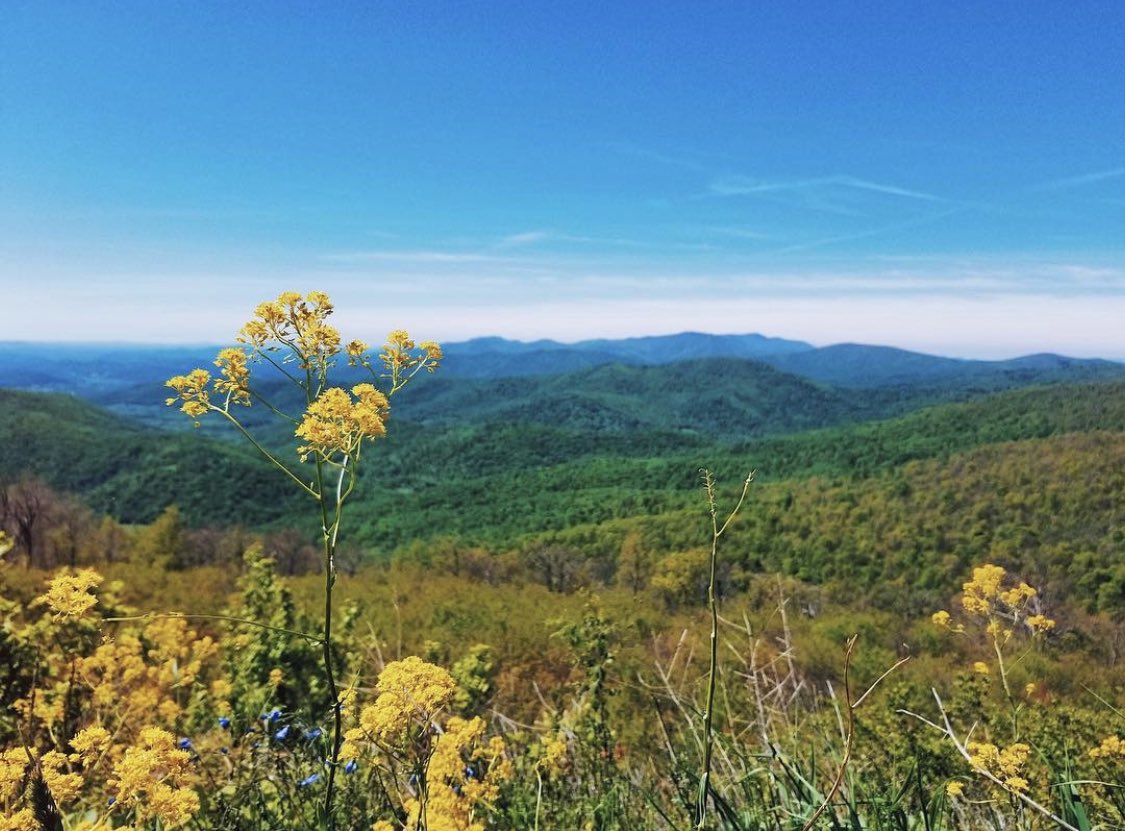 I see so many people on here talking about how shitty the U.S. is and it makes me sad.  This country has so much beauty and I refuse to give up on her!

Our government is TRASH and is doing this beautiful country a disservice time and time again…

Let’s take it back✊