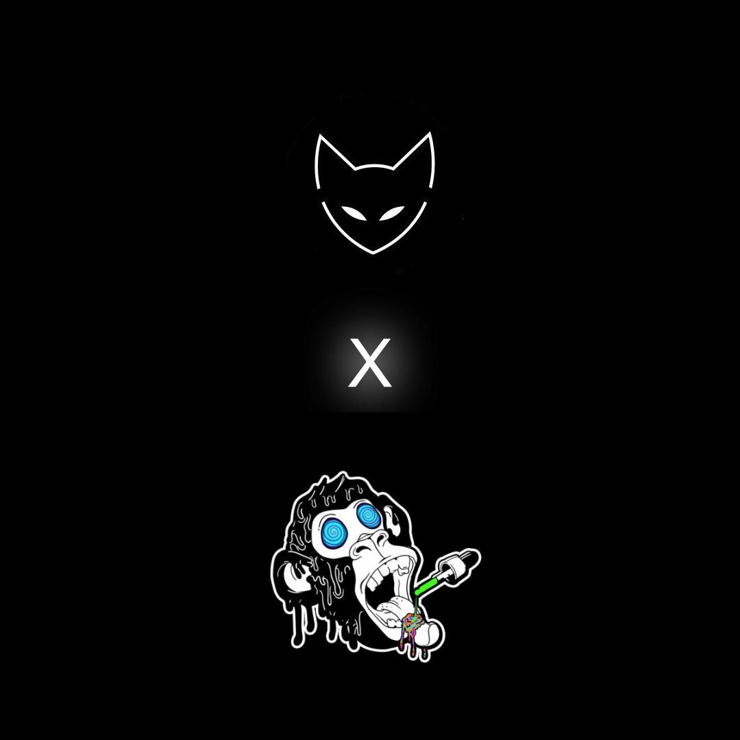 CatsFamilyNFT's tweet image. The next project we gave WL to is… @trippinapes !!!

Give those monkeeeeees a warm welcome!!

😼🤝🐵