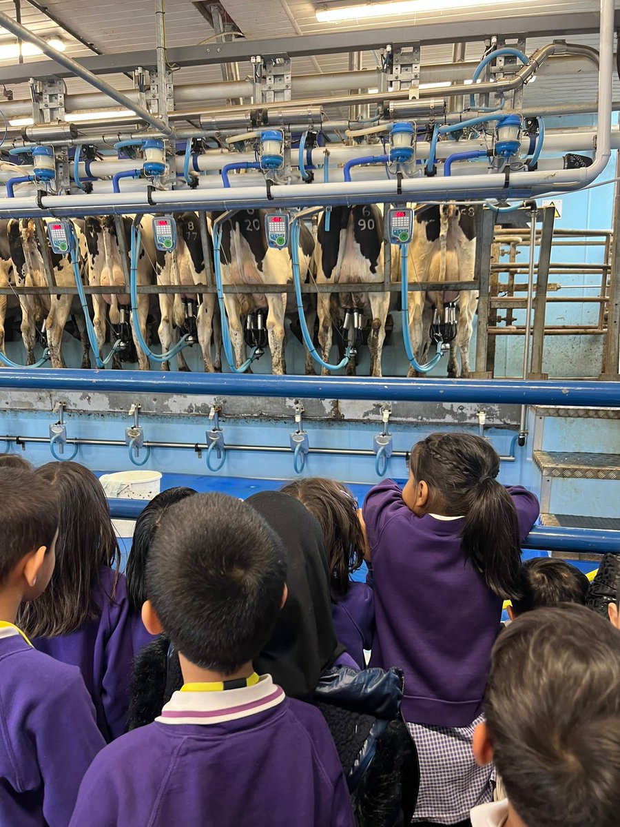 olive_bburn's tweet photo. Our Early years have had a very busy day at the farm.
π΄ππππππ€π
#essentialexperiences
#schooltrips
#farm
#WeAreStar https://t.co/2SANPKpeNb