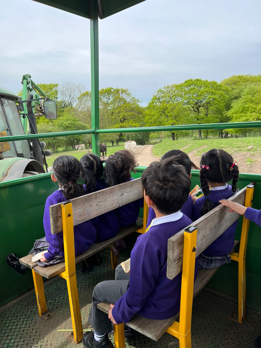 olive_bburn's tweet photo. Our Early years have had a very busy day at the farm.
π΄ππππππ€π
#essentialexperiences
#schooltrips
#farm
#WeAreStar https://t.co/2SANPKpeNb