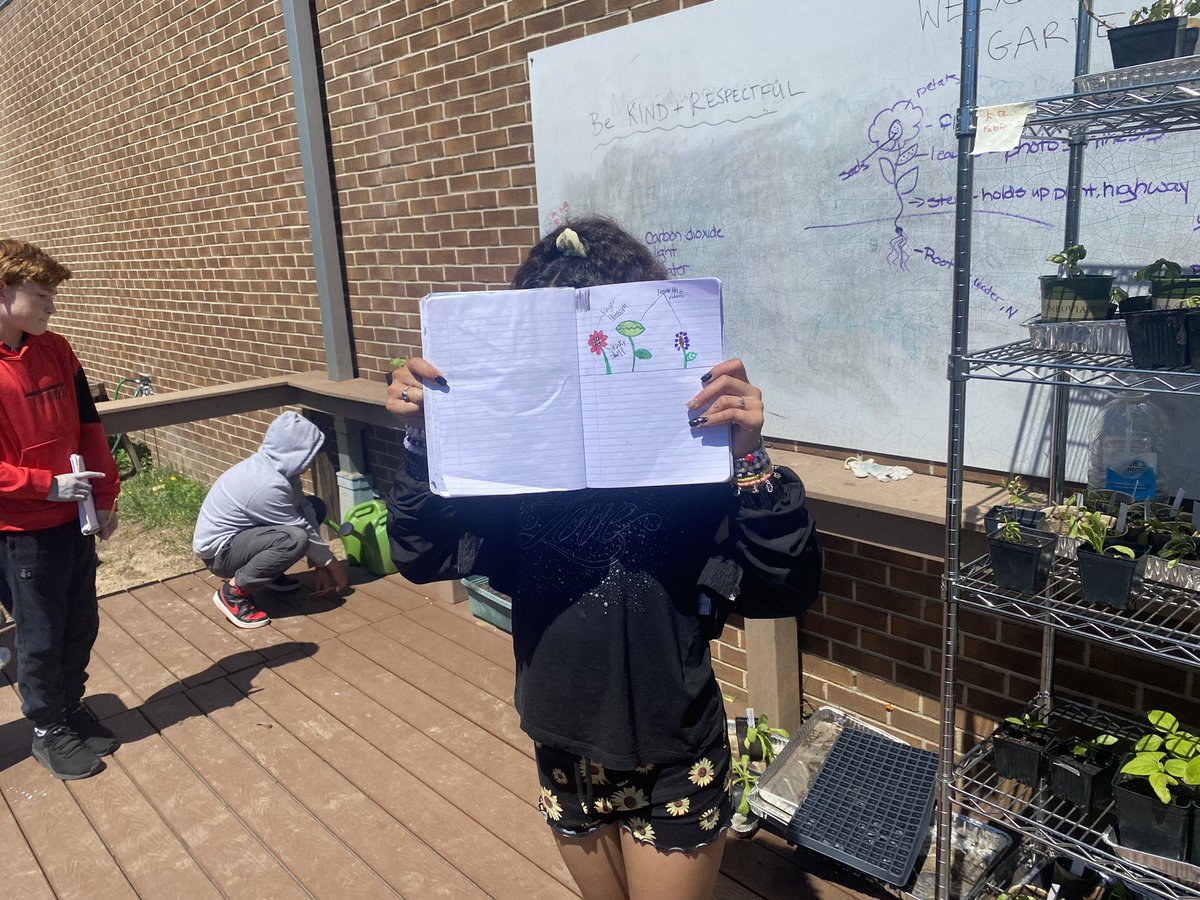 Hollin Meadows Garden tweet media